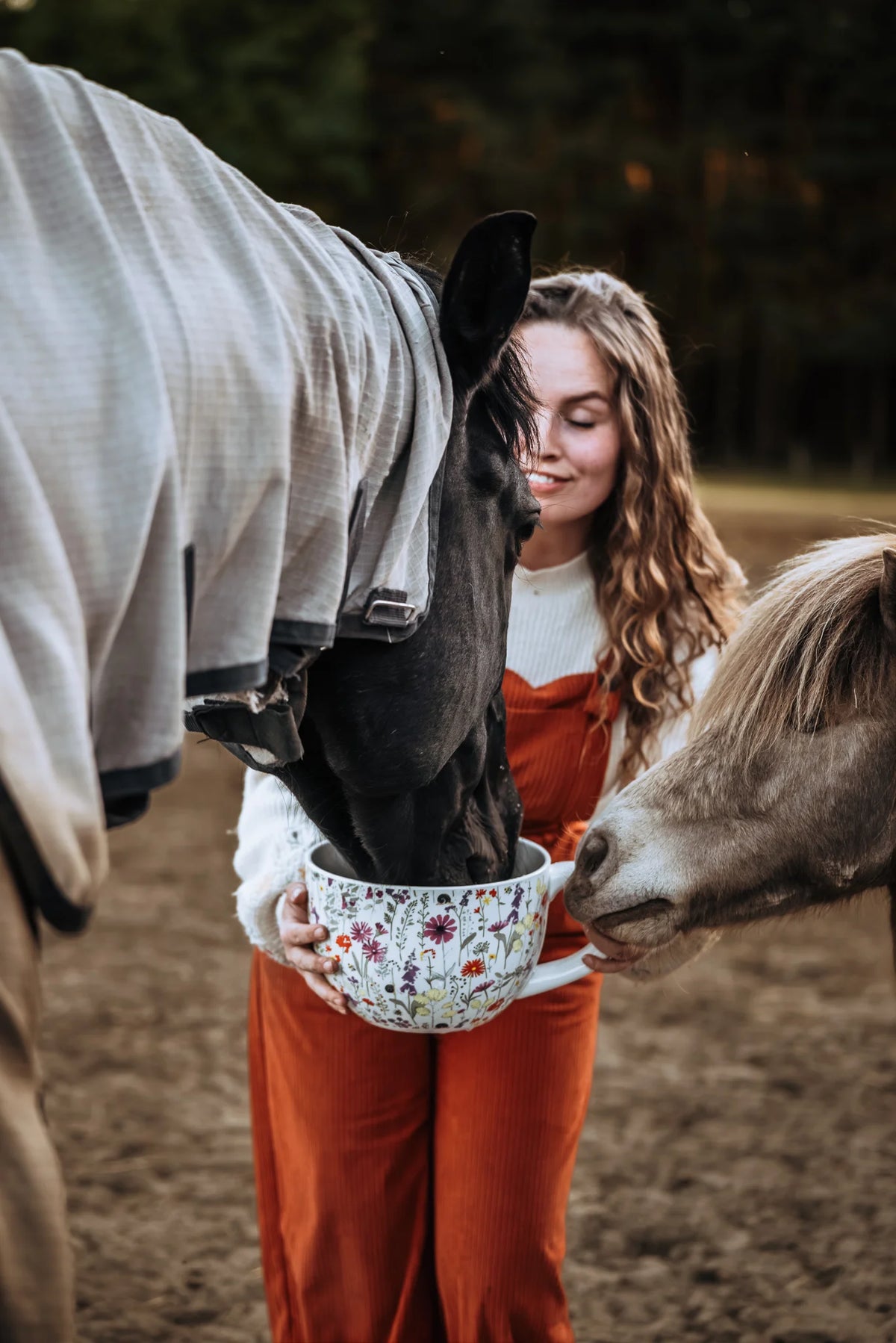 HippieHorses - Equi-Tea probeerpakket paardenthee