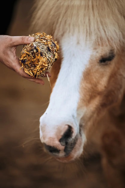 HippieHorses - Smulbol Voordeelverpakking 6 stuks (mix van diverse smaken)