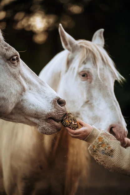 HippieHorses - Smulbol Voordeelverpakking 6 stuks (mix van diverse smaken)