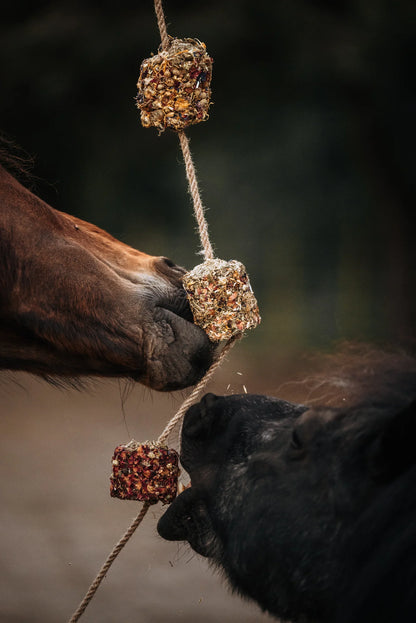 HippieHorses - Smulblok slinger voor paarden Unicorn - Pink Pony - Rainbow