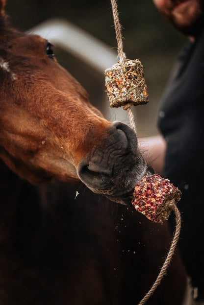 HippieHorses - Smulblok slinger voor paarden Unicorn - Pink Pony - Rainbow