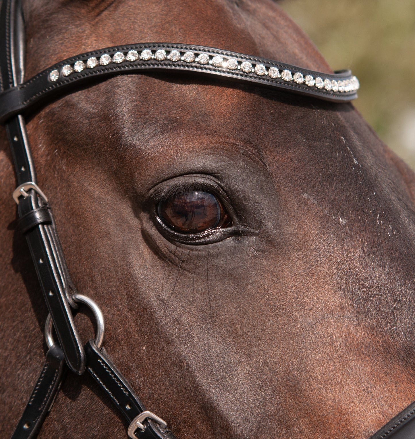 LoveLance - Sidepull Dressuur