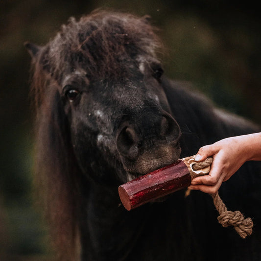 HippieHorses - Knabbelstam voor paarden Fruity zwarte bes
