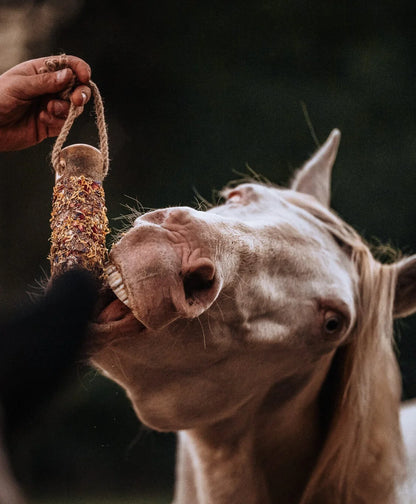 HippieHorses - Knabbelstam met kruiden voor paarden Unicorn mix