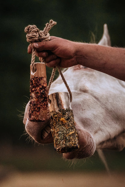 HippieHorses - Knabbelstam met kruiden voor paarden Pink Pony mix