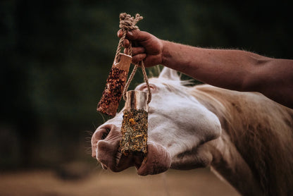 HippieHorses - Do It Yourself Pakket Knabbelstammen voor paarden DIY