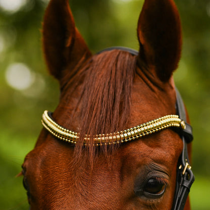 UNCLAIMED ITEMS - Lumiere - Luxe Cavesson hoofdstel 'Delta' (promoveiling) COB
