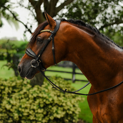 UNCLAIMED ITEMS - Lumiere - Luxe Cavesson hoofdstel 'Delta' (promoveiling) COB