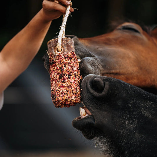 HippieHorses - Knabbelstam met kruiden voor paarden Pink Pony mix