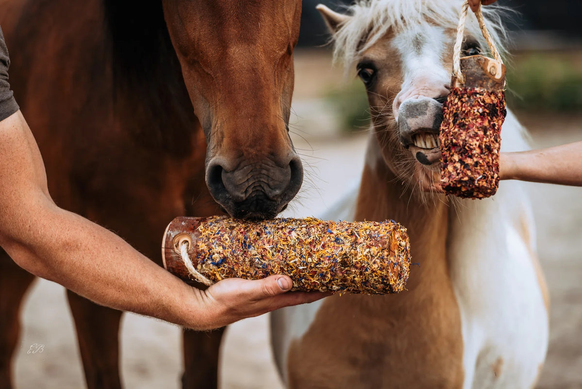 HippieHorses - Knabbelstam met kruiden voor paarden Unicorn mix