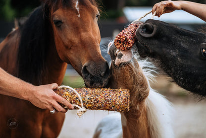 HippieHorses - Knabbelstam met kruiden voor paarden Pink Pony mix