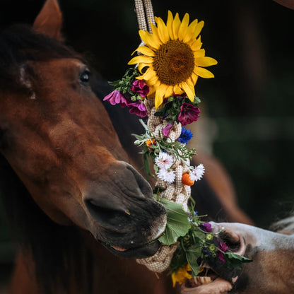 HippieHorses - Knabbeltouw katoen-hennep
