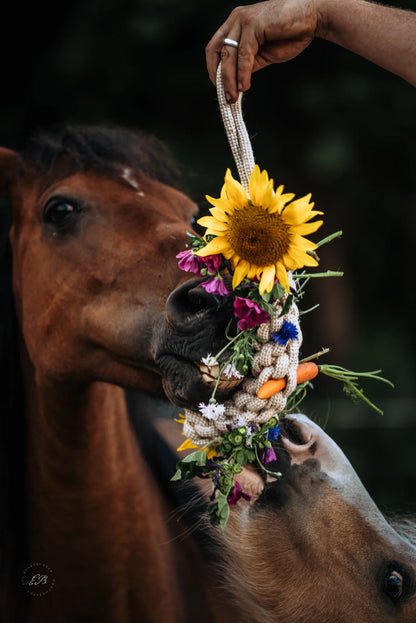 HippieHorses - Knabbeltouw katoen-hennep