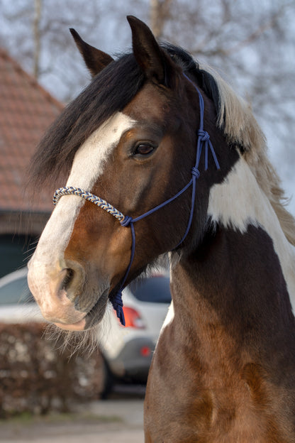 Rope halter braided noseband dark blue, beige and baby blue