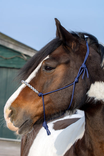 Rope halter braided noseband dark blue, beige and baby blue