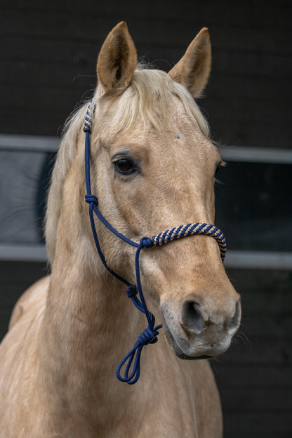 Rope halter dark blue with dark blue-beige noseband and earband