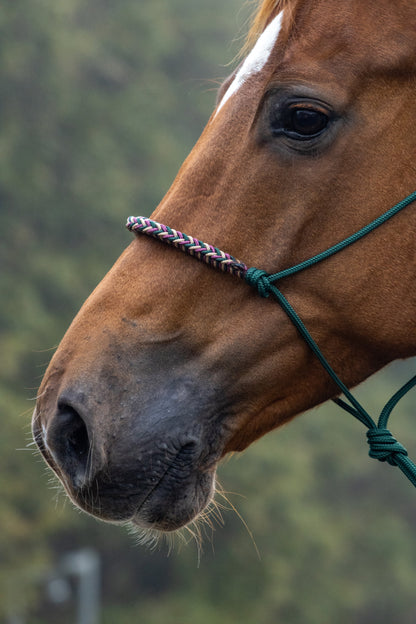 Rope halter with braided noseband dark green, beige and burgundy