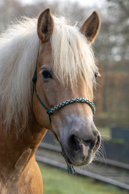 Rope holster set winter wonderland