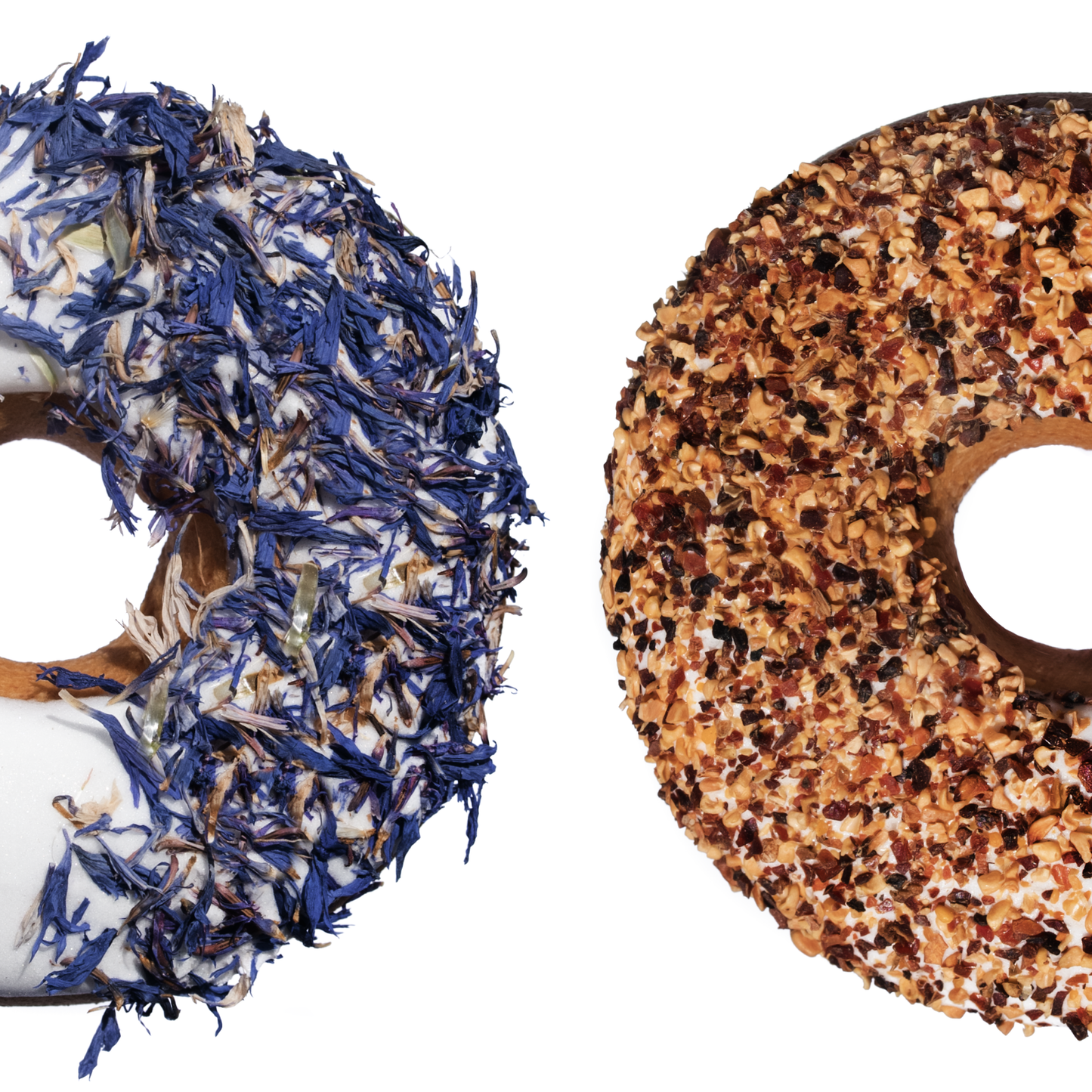 Candy Horse - Horse Cookies Donuts Wild Rose and Cornflower 
