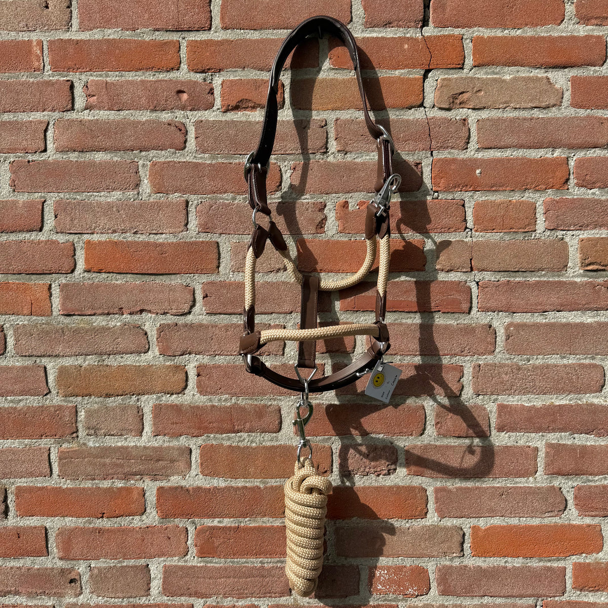 FMH - Havana lederen halsterset met gekleurd touw incl. halstertouw ‘Cream Heritage’