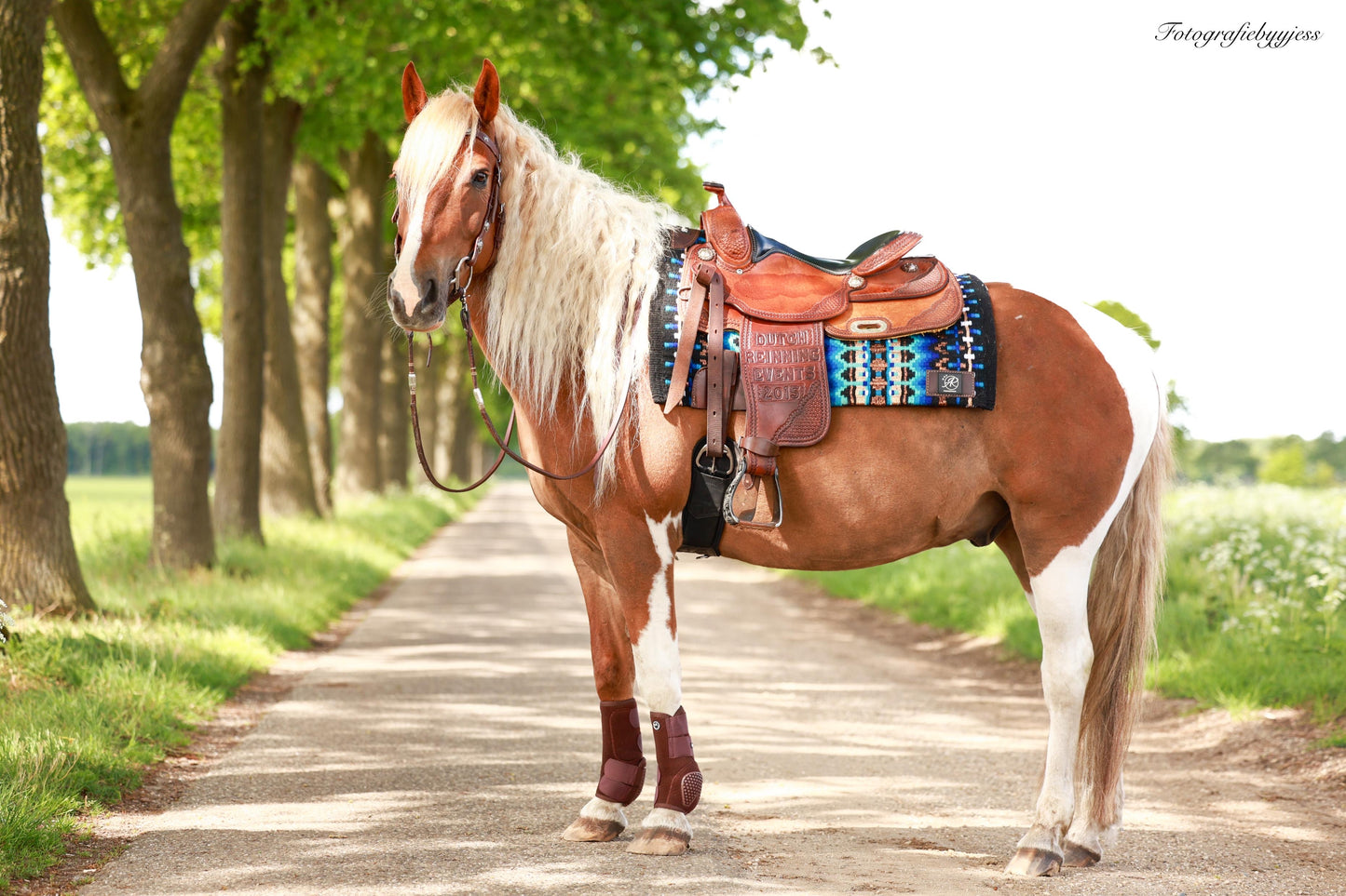 FMH - NeoPro the Elements - Neoprene horse boots (various colours)