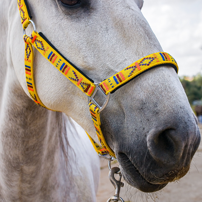 FMH - Geborduurd nylon halster met padding ‘Nomad Spirit Solar’