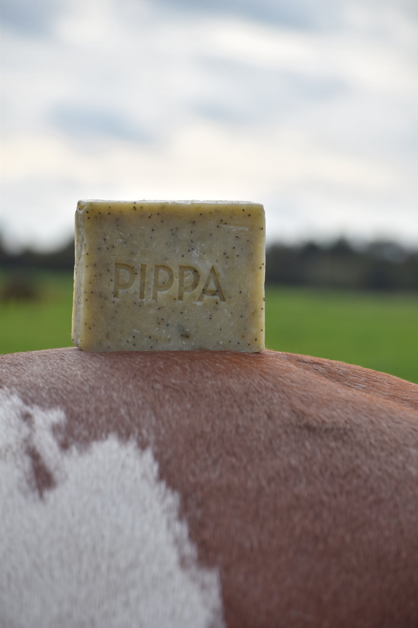 Pippa - Shampoo solido Semi di papavero & Lime
