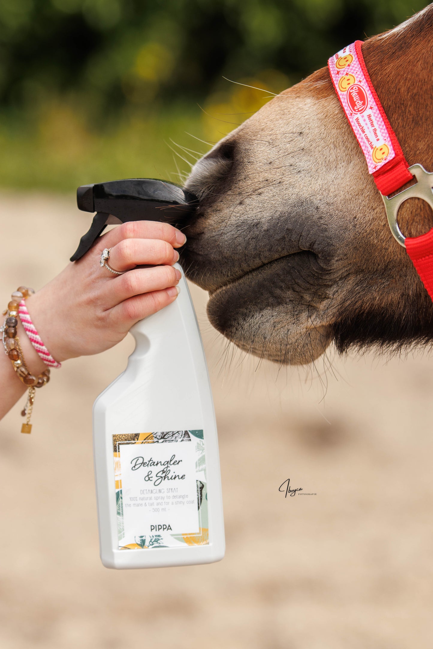 PIPPA - Spray districante e lucidante