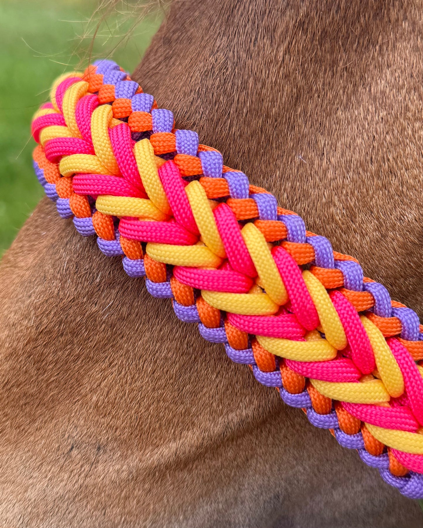 Handgemaakte paardenhalsters - Geknoopt halster ‘Funky Town’ fuchsia/geel/oranje/paars