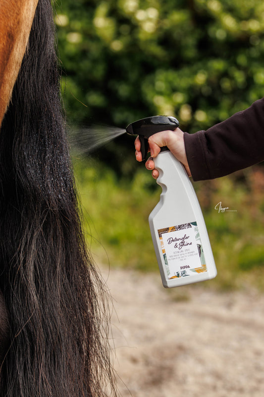 PIPPA - Spray districante e lucidante