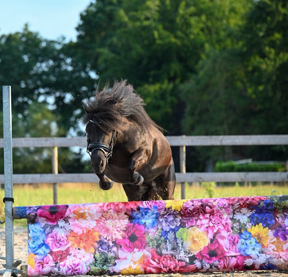 Jumpbanners - Hinderniszeil Standard Floral Party