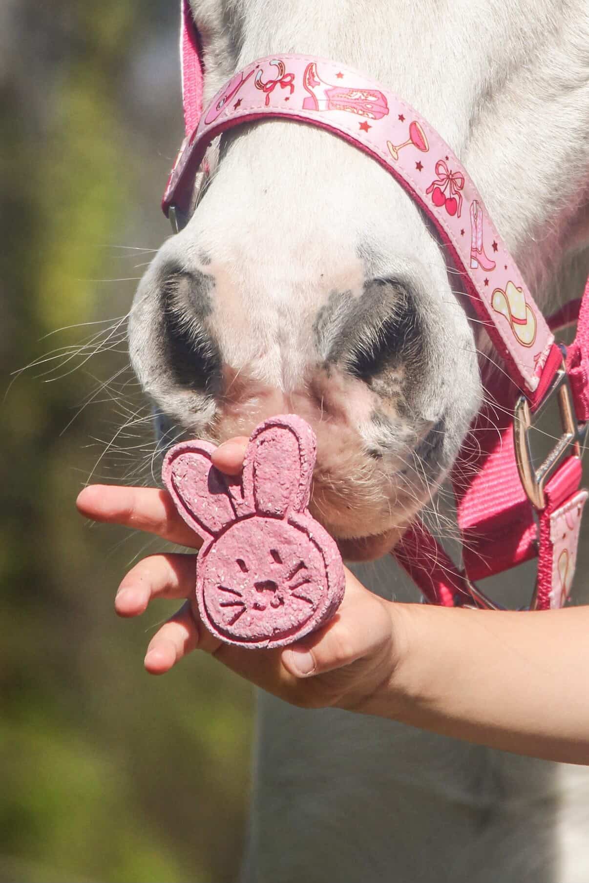 Horse Tea Company - Biscuits pour chevaux 4-pack Bunnies