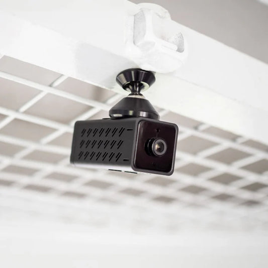 Equine Eye - Trailercamera Voyager