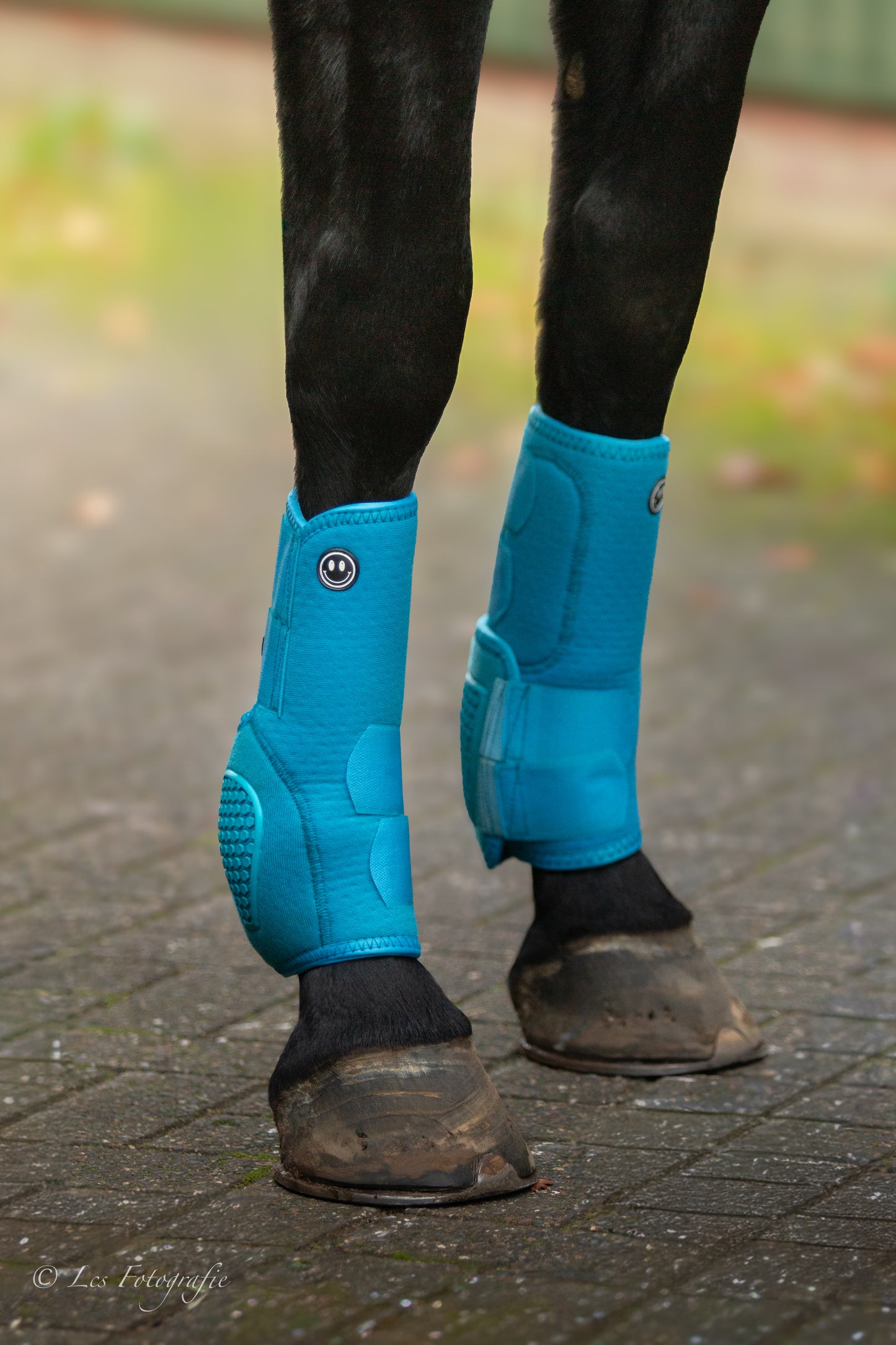 FMH - NeoPro the Solids - Neoprene beenbeschermers boots voor paarden (div. kleuren)