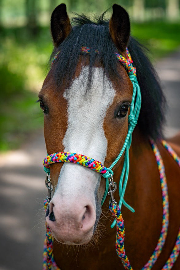 Horse Rope Shop - Rope halter set riding halter + reins 'Rainbow' mint