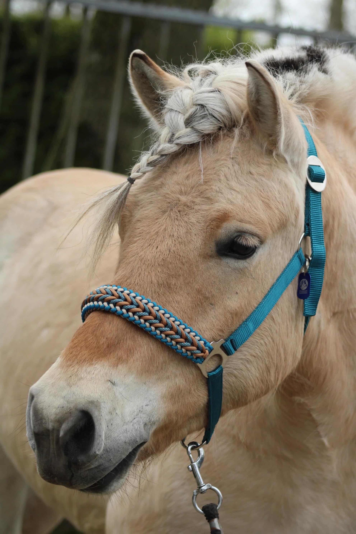 Handmade Horse Halters - Knotted Halter 'Teal Treasure' emerald/teal/caramel