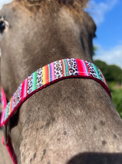 Happy Halster x FMH - Colourful Panther Exclusive halster div. kleuren