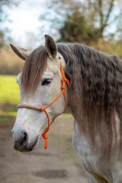 Rope halter orange with flower power