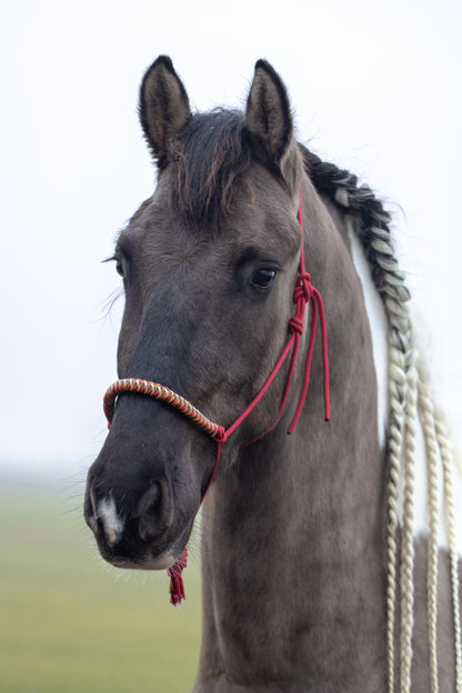 Rope Halter Vienna Noseband Raspberry, Beige, Army Green, and Caramel