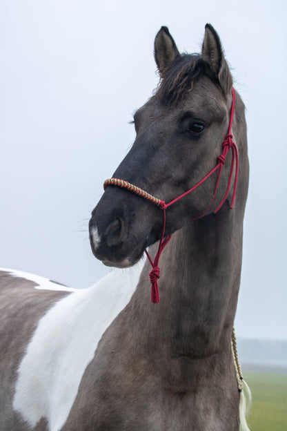 Rope Halter Vienna Noseband Raspberry, Beige, Army Green, and Caramel