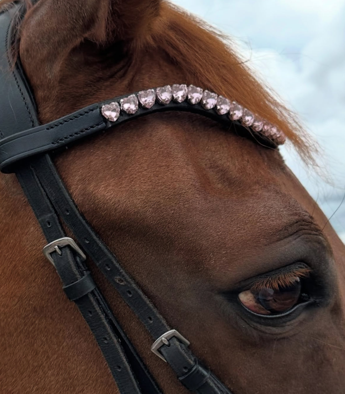 FMH - Sprankelende frontriem ‘Lovehearts’ Wave met 8mm steentjes in div. kleuren