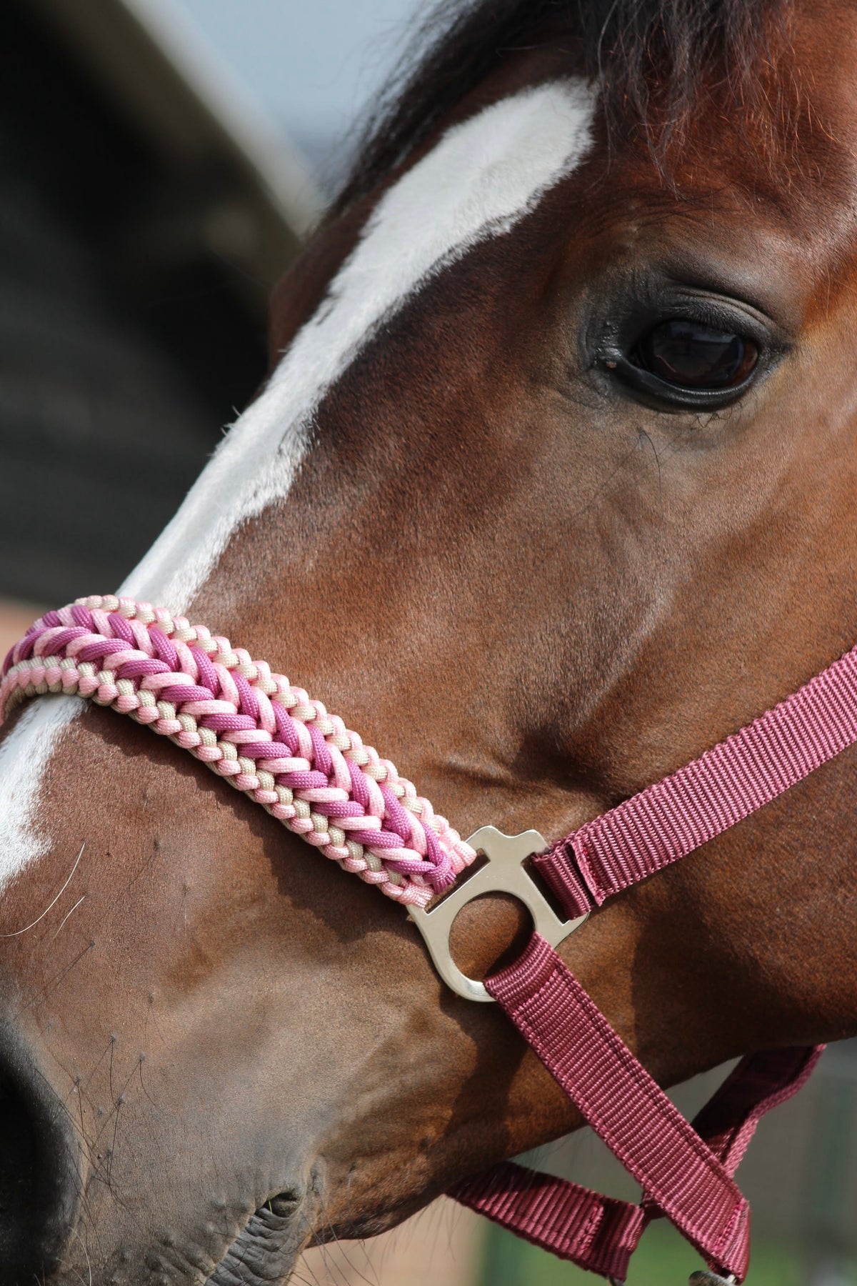 Handgemaakte paardenhalsters - Geknoopt halster ‘Belle Amour’ oudroze/ bordeaux/ roze