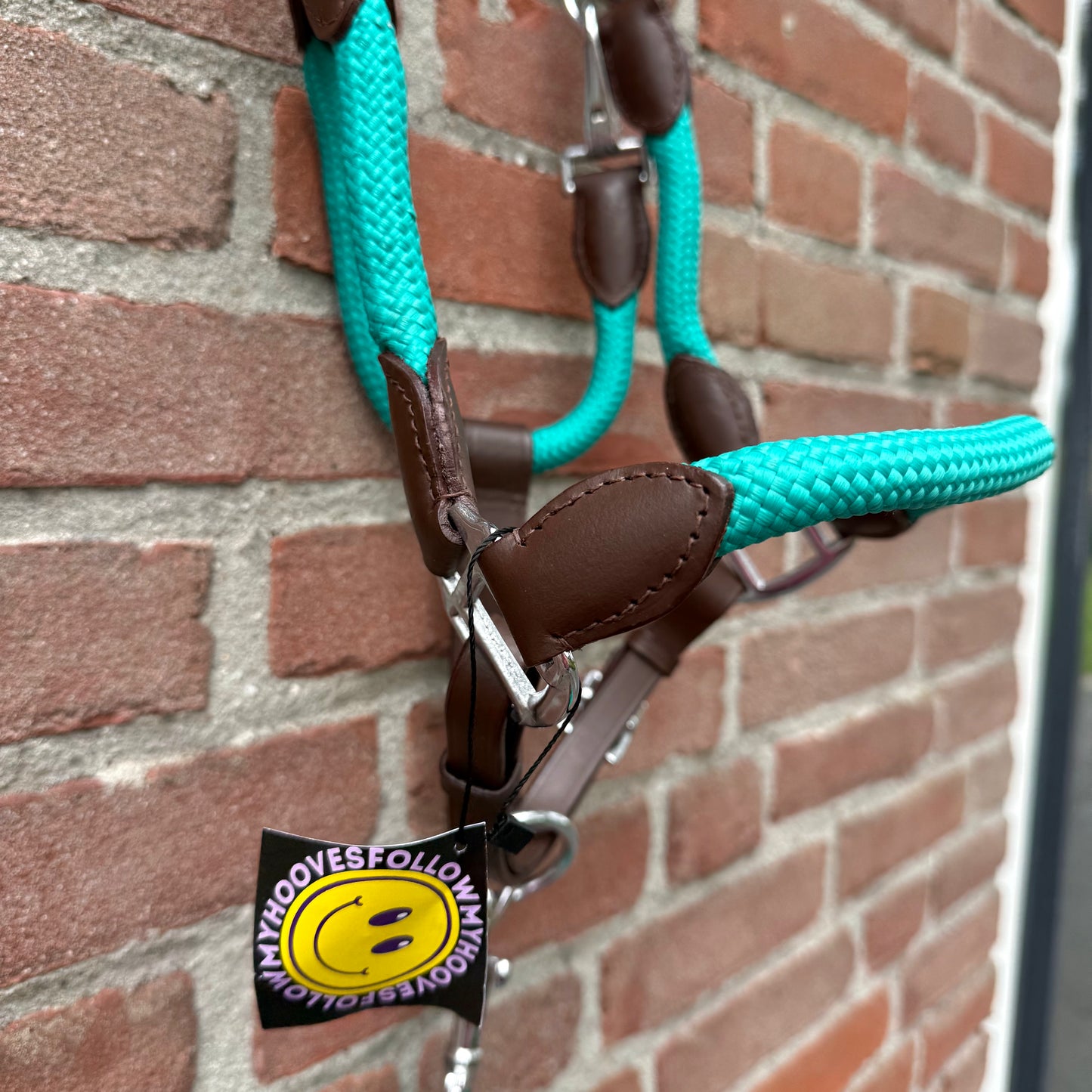 FMH - Havana lederen halsterset met gekleurd touw incl. halstertouw ‘Aqua Heritage’