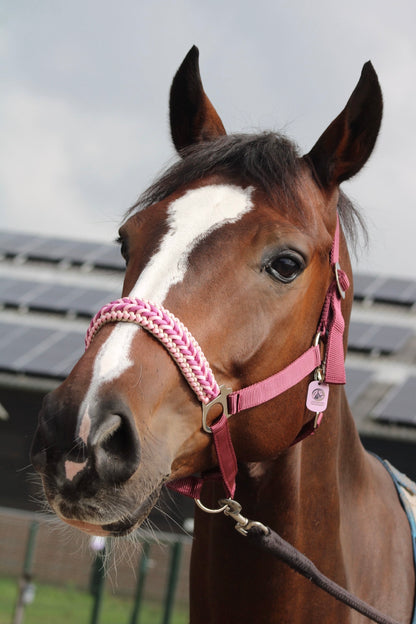 Handgemaakte paardenhalsters - Geknoopt halster ‘Belle Amour’ oudroze/ bordeaux/ roze