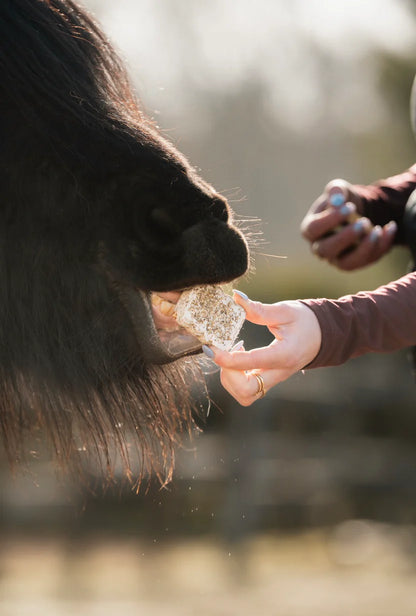 The Horse Tea Company - Paardenkoekjes HealTea Summer Biscuits met icing 3st