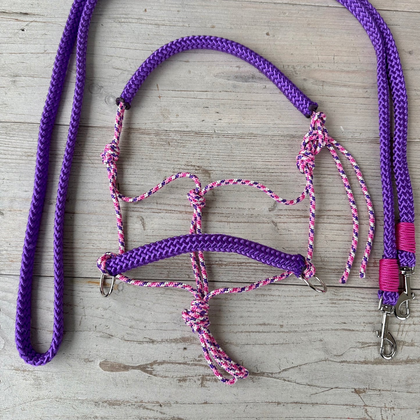 Rope halter sale - Single rope halter or riding halter + reins set 'Purple Dream' purple mix/purple