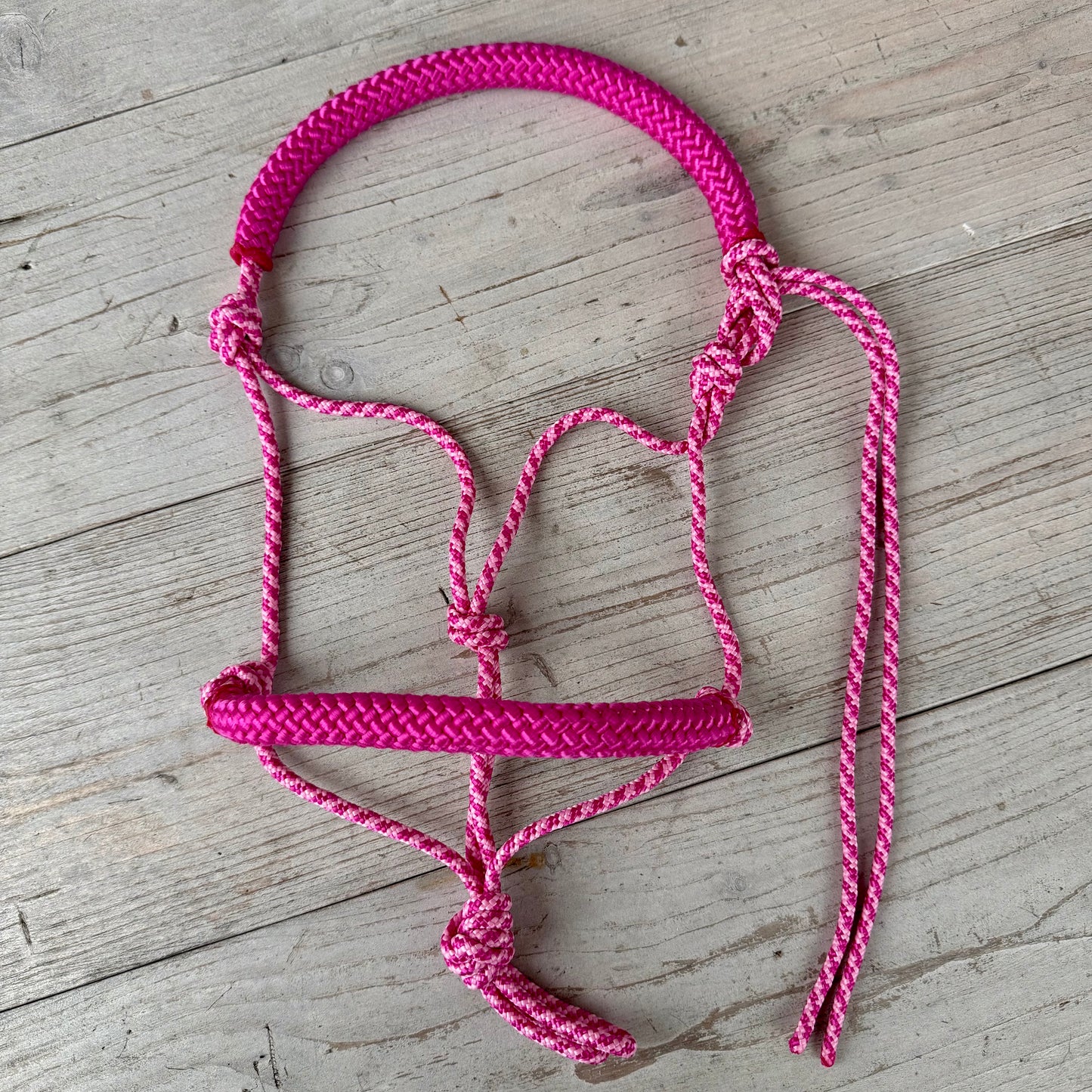 Rope halter sale - Loose rope halter 'Sweet Cheeks' pink mix/pink