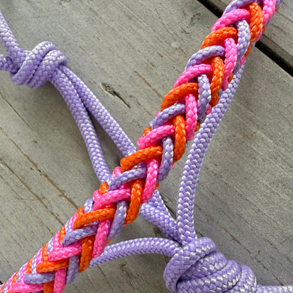 Touwhalsterverkoop - Tauhalfter ‘Jolie’ lila/orange/rosa