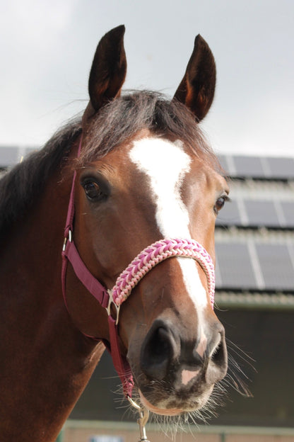 Handgemaakte paardenhalsters - Geknoopt halster ‘Belle Amour’ oudroze/ bordeaux/ roze