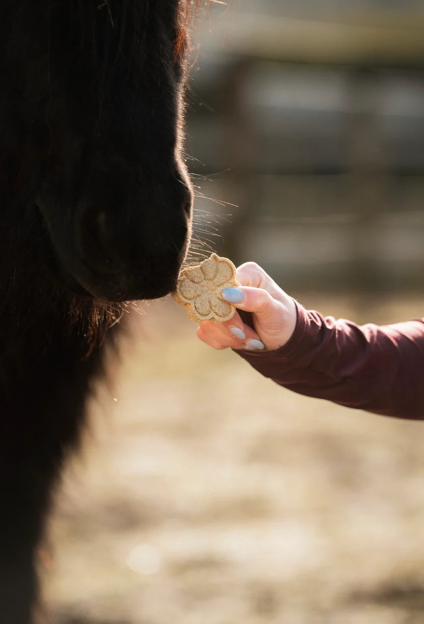 Horse Tea Company - Biscuits pour chevaux 3-pack Flowers